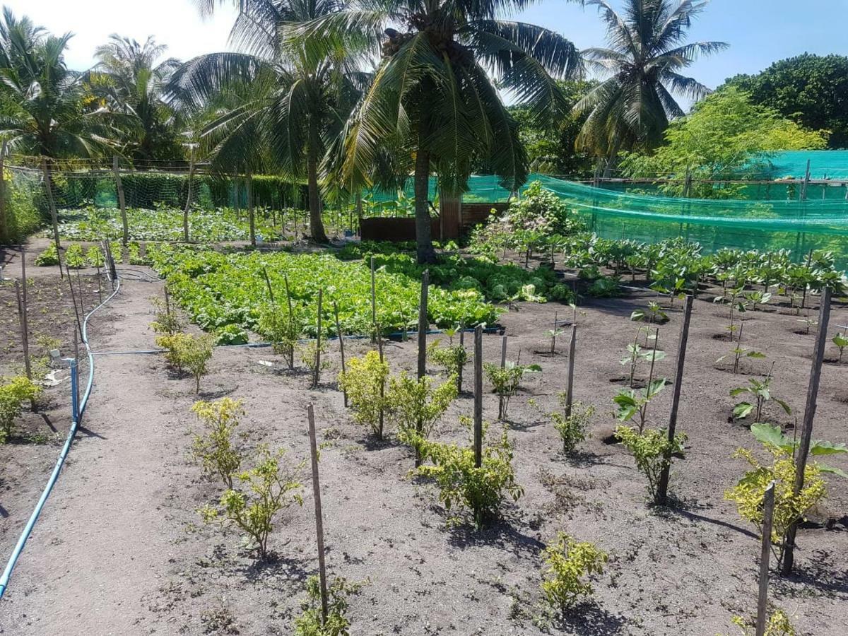 Dharavandhoo Stay Экстерьер фото
